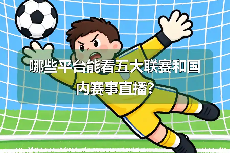 哪些平台能看五大联赛和国内赛事直播?